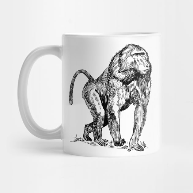 Baboon by Netdweller